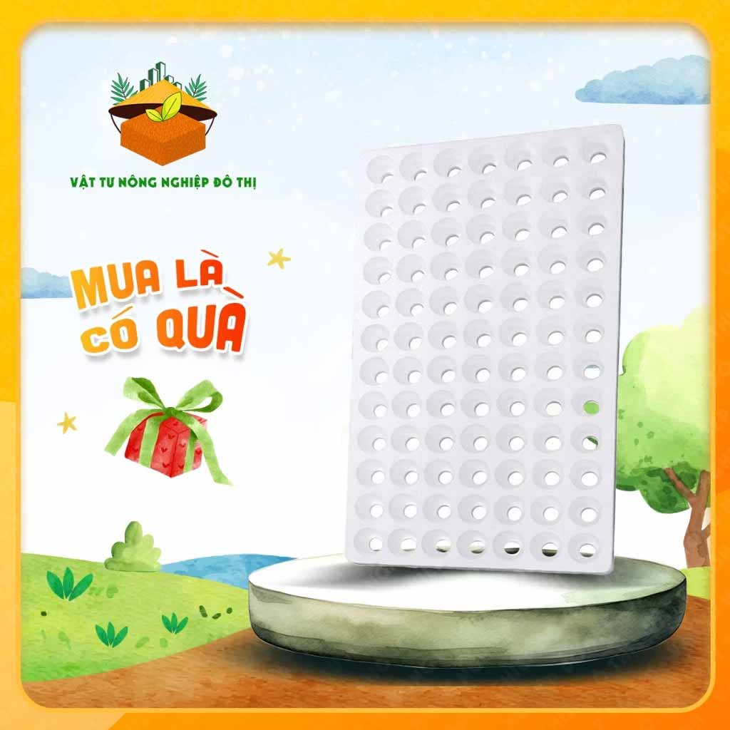 Khay xốp ươm cây 84 lỗ, tối ưu quá trình ươm hạt cho tỉ lệ nảy mầm rất tốt | Độc quyền VTNN Đô Thị