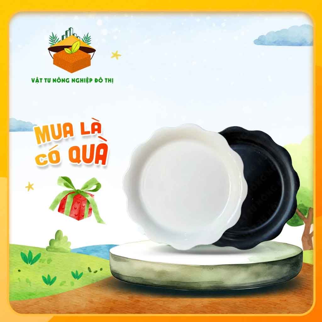 Dĩa nhựa lót chậu Thakico - Trắng/Đen - Đa dạng kích thước | Độc quyền VTNN Đô Thị
