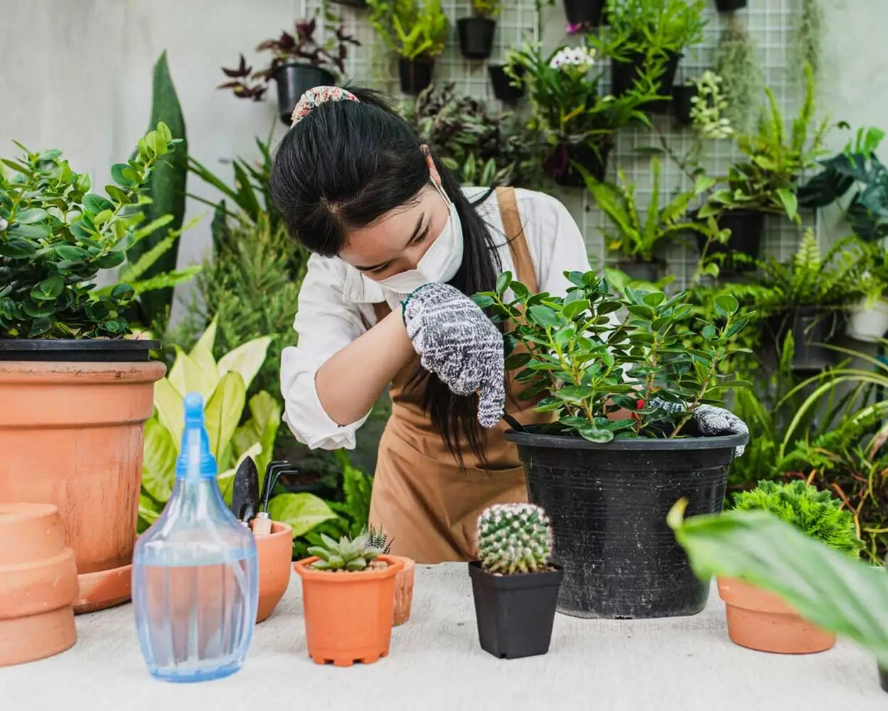 Người chăm sóc cây trong khu vườn nhỏ