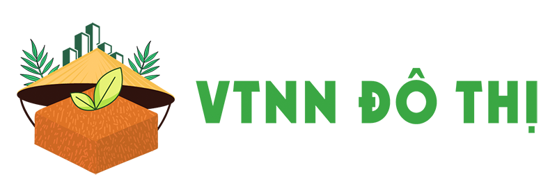 VTNN Đô Thị